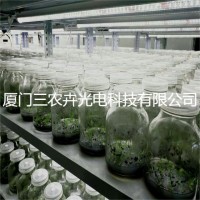 T20-白芨育苗组培灯