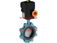 保证原装正品德国依博罗(EBRO)气动衬胶蝶阀Z011-A图3