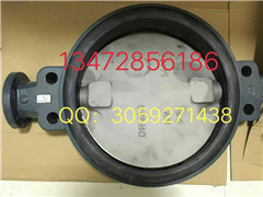 德国依博罗(EBRO)对夹式蝶阀DN40-DN500价格优惠图2