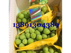 陕西阳光玫瑰葡萄产地蓝宝石葡萄红提葡萄克伦生浪漫红颜葡萄价格图3